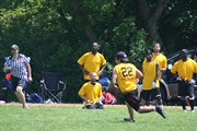 OTFL Gallery Image